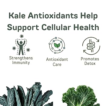 Amazon.com: 山本漢方製薬株式会社 YAMAKAN Kale Juice with
